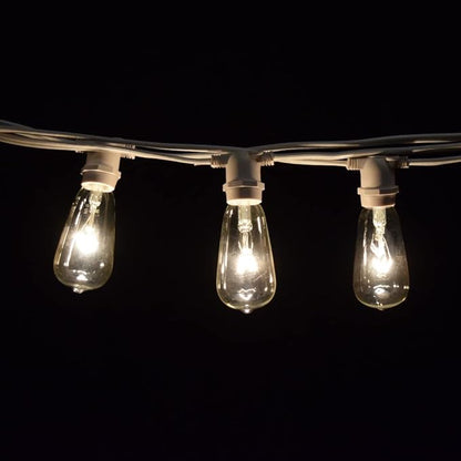 Hometown Evolution, Inc. Commercial Grade Vintage Edison Outdoor String Lights (ST40 Clear - Commercial White Wire, 50 ft)