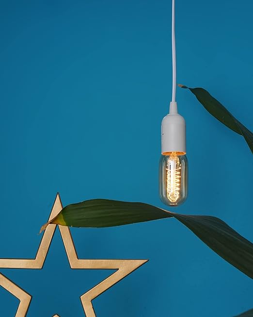 HESSION Pendant Light Cord, Hanging Light Cord, Plug in Light fixtures, 5.9ft DIY Latern Light Cord with an E26 Light Socket, Featuring an On/Off Switch(Bulb Not Included).