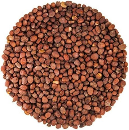 Food to Live Radish Seeds for Sprouting, 8 Ounces – Edible Seeds, Pure, Vegan, Kosher, Bulk. Rich in Vitamin C. High Germitation Rate. Grow Sprouts, and Microgreens for Salad, Sandwiches, Rolls.