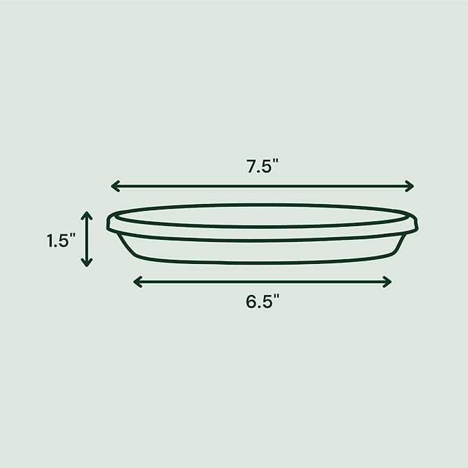 Bloem Terra Resin Saucer Tray: 6.5" Bottom Width - Chocolate Brown - Matte, Durable, Ribbed Bottom, Indoor and Outdoor, Fits 8" Terra Pots