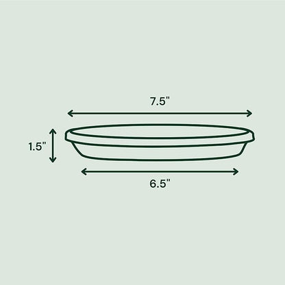 Bloem Terra Resin Saucer Tray: 6.5" Bottom Width - Black - Matte, Durable, Ribbed Bottom, Indoor and Outdoor, Fits 8" Terra Pots