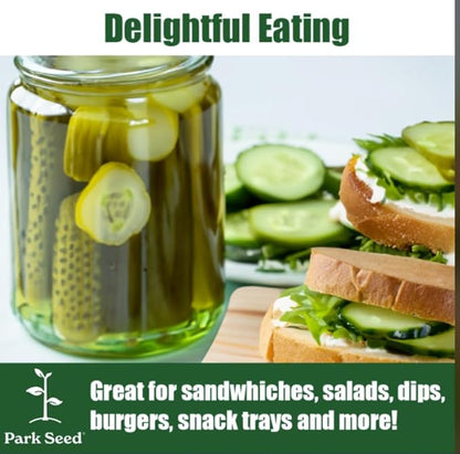 Park Seed Variety of Cucumber Seeds, Planting Cucumbers, Vegetable Seeds, Easy to Grow, Non-GMO, Perfect for Harvesting, Eureka Hybrid, Pack of 30