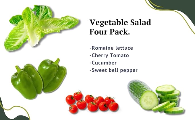 Vegetable Seeds for Planting Vegetables - Variety Salad Pack - Romaine Lettuce - Cherry Tomato - Cucumber - Bell Pepper!