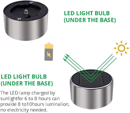 Dream Master Solar Lights Outdoor Waterproof, Stainless Steel LED Landscape Lighting, Solar Garden Lights, Outdoor Decorations for Yard, Pathway, Walkway, Patio, Lawn - 12 Pack (Multicolor)