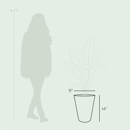 Bloem Tall Finley Tapered Round Planter: 14" - Cement - Matte Textured Finish, 100% Recycled Plastic Pot, for Indoor and Outdoor Use, Gardening, 4 Gallon Capacity