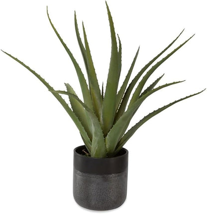 Uttermost 60204 Tucson - Planter-19 Inches Tall and 17 Inches Wide