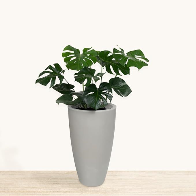 27.6" Tall Planter | Eco-Friendly, Durable, Lightweight | Indoor/Outdoor Use, All-Weather, Contemporary Design by Brazilian Artisans - White