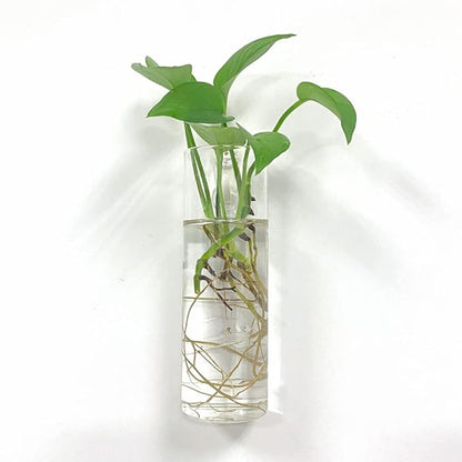 Wall Planters for Indoor Plants,Wall Hanging Terrarium Planters,Glass Wall Planters for Floral Arrangement,Hanging Plant Holder, Wall Vase,Wall Mounted Planters (2 Glass Wall Planter)