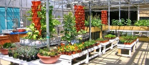 Vertical Gardening Planters - Mr Stacky Pots Can Use Any Growing Medium (Soil, Clay Pebbles, Vermiculte, Perlite, Coco Fiber) - Great for Hydroponics and Aquaponics Too - Build Your Own Stacking