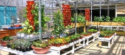 Vertical Gardening Planters - Use Mr Stacky Pots With ANY Grow Medium (Soil, Hydroton, Vermiculte, Perlite, Coco Fiber) - Great for Hydroponics and Aquaponics Too - Build Your Own Stacking Container