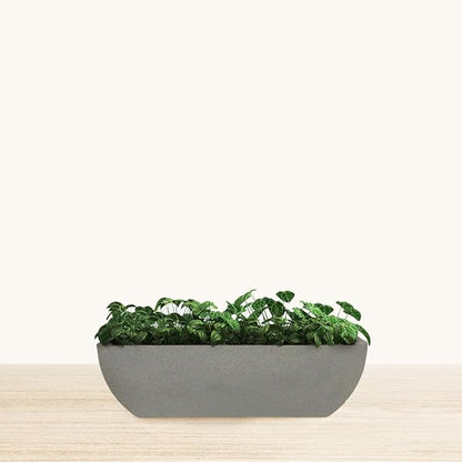 31.5" Wide Planter | Eco-Friendly Large Planter for Indoor or Outdoor Deck/Porch | Durable All-Weather Use Modern Pot for Shrubs, Flowers, Plants - Stone Granite