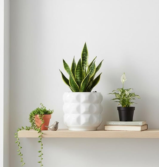 Ceramic Planter Pot with Drainage Hole, 4.5 Inch Dia, Indoor and Outdoor, Home Patio Garden, Plants Flower Succulent, 3D Patterned Round (White)