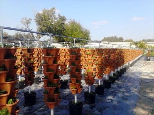 Vertical Gardening Planters - Use Mr Stacky Pots With ANY Grow Medium (Soil, Hydroton, Vermiculte, Perlite, Coco Fiber) - Great for Hydroponics and Aquaponics Too - Build Your Own Stacking Container