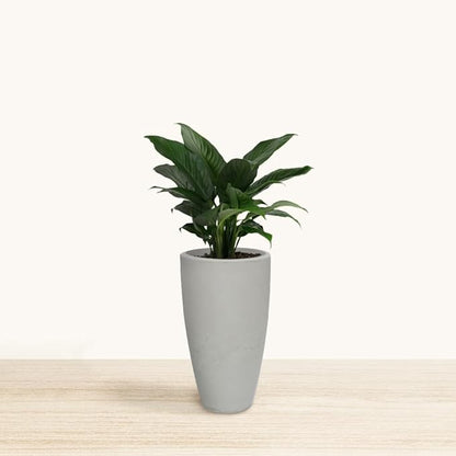 20.9" Tall Planter | Eco-Friendly, Durable, Lightweight | Indoor/Outdoor Use, All-Weather, Contemporary Design by Brazilian Artisans - White