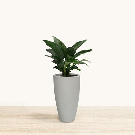 20.9" Tall Planter | Eco-Friendly, Durable, Lightweight | Indoor/Outdoor Use, All-Weather, Contemporary Design by Brazilian Artisans - White