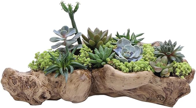 DOITOOL Imitation Tree Root Flower Pot 13.38X4.72X3.54In Resin Succulent Planter for Indoor Outdoor Garden Desk Decoration