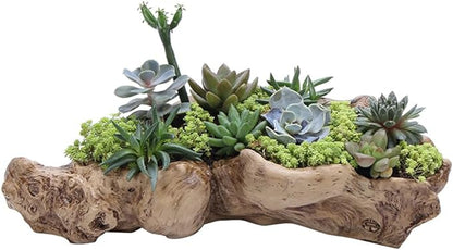 DOITOOL Imitation Tree Root Flower Pot 13.38X4.72X3.54In Resin Succulent Planter for Indoor Outdoor Garden Desk Decoration