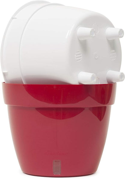 DecoPots - 10.6 Inch Self Watering Planter - Modern Flower Pot with Water Level Indicator for All House Plants, Flowers, Herbs - Height 8.3 inches (Diameter 10.6", White/Black)