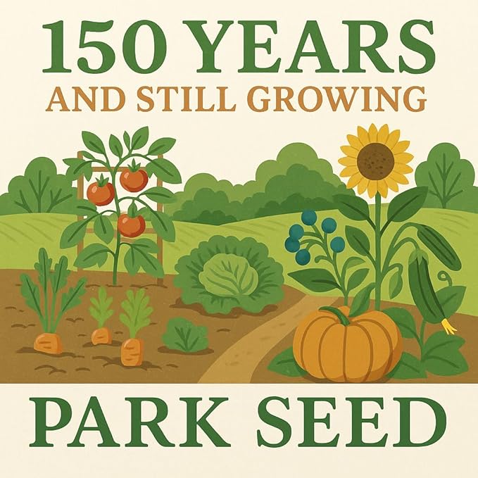 Park Seed Variety of Tomato Seeds, Planting Vegetables, Easy to Grow, Non-GMO, Perfect for Harvesting, Hybrid Purple Boy, Pack of 10