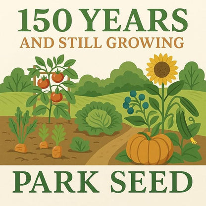 Park Seed Variety of Tomato Seeds, Planting Vegetables, Easy to Grow, Non-GMO, Perfect for Harvesting, Hybrid Purple Boy, Pack of 10
