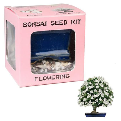 Eve's Jasmine Bonsai Seed Kit, Flowering, Complete Kit to Grow Jasmine Bonsai from Seed * Cannot Ship to Louisiana LA