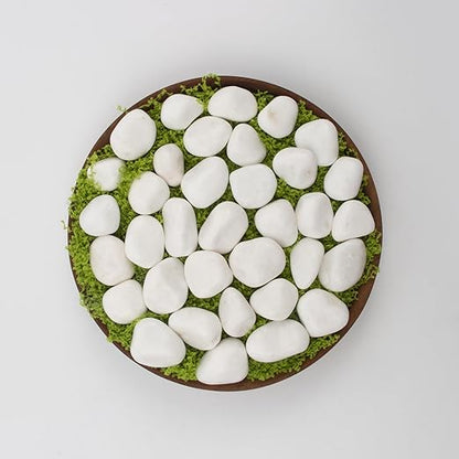 20 lbs White Polished Garden Stones, 0.5-1 Inch Decorative Rocks for Landscaping, Pathways, Yard Borders, Pots, Aquarium Decoration, and DIY Craft Projects (Pure White, Weight: 20 LB)