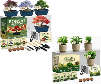 HOME GROWN Bonsai Tree Starter Kit – Unique Christmas Gift for Adults, Men, Women - Grow 4 Bonsais & Indoor Organic Herb Garden Kit – Unique Christmas Gift for Adults, Men, & Women - Grow 4 Herb Seeds