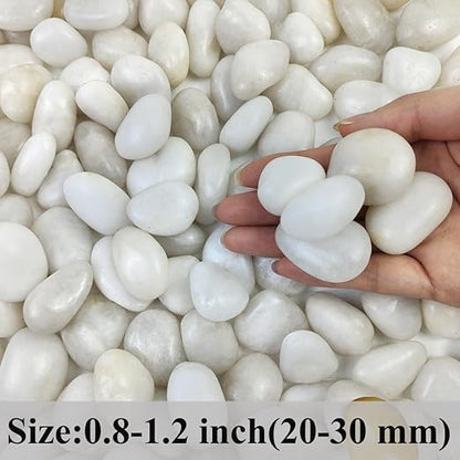 FANTIAN 2 lbs Small White Pebbles for Plants, 0.8-1.2 inch Decorative River Rocks for Plants, Aquariums, Landscaping. White Stones for Planter Vase and Outdoor Garden Rocks