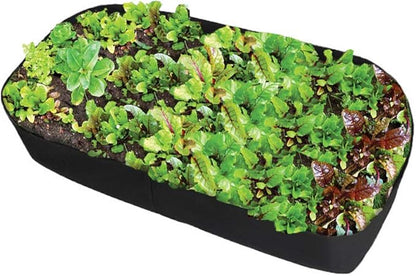 Feitore Fabric Raised Garden Bed, 2ft x 4ft Garden Grow Bags Planting Bed Rectangle Garden Containers for Vegetables Plants Flowers Outdoor