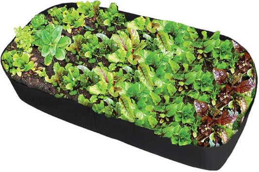 Feitore Fabric Raised Garden Bed, 2ft x 4ft Garden Grow Bags Planting Bed Rectangle Garden Containers for Vegetables Plants Flowers Outdoor