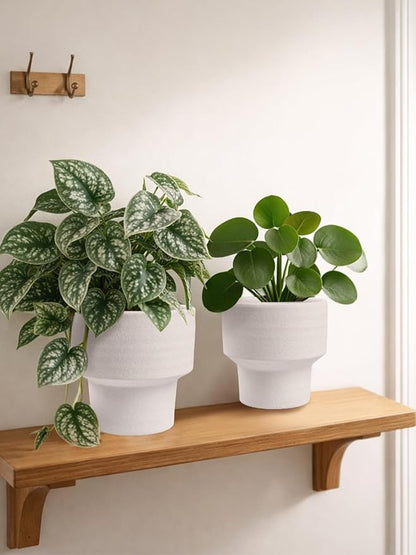 INGOFIN Ceramic Planter Pot Set of 3, 4/5/6 Inch Indoor Decorative Cachepot for Pothos & Succulents, No Drainage Hole, Modern Tabletop Desk Display Plant Pot for Home Decor, Sandblasted White