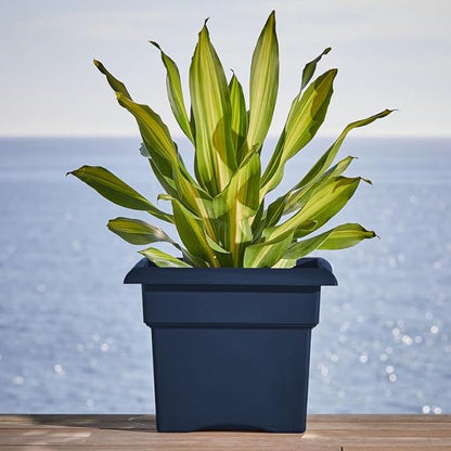 Bloem Veranda 18" Navy Square Deck Box Planter with Optional Knock-Out Drainage Holes