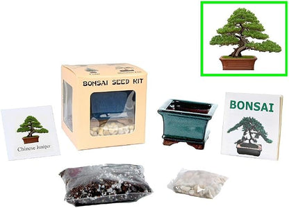 Eve's Chinese Juniper Bonsai Seed Kit, Woody, Complete Kit to Grow Chinese Juniper Bonsai Tree from Seed