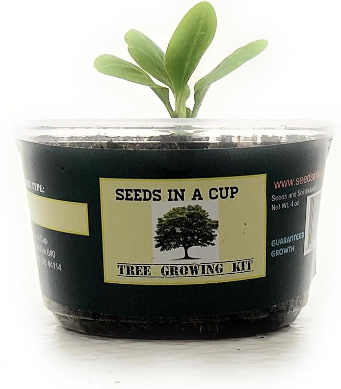 Tree Grow Kit | Easy to use | Educational | Memorial Gift | Plant It for The Planet | Grow Your Own Tree |Wide Selection to Choose from (Concord Grape)