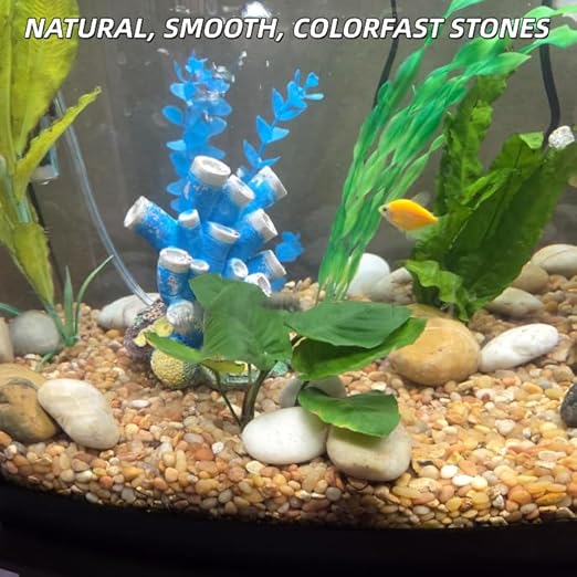 4lb Mix River Rocks for Plants, 1-3 Inch Pebbles for Indoor Plants, Polished Garden Rocks Outdoor Landscaping, Decorative Stones for Vases, Succulents, Aquarium, Walkways