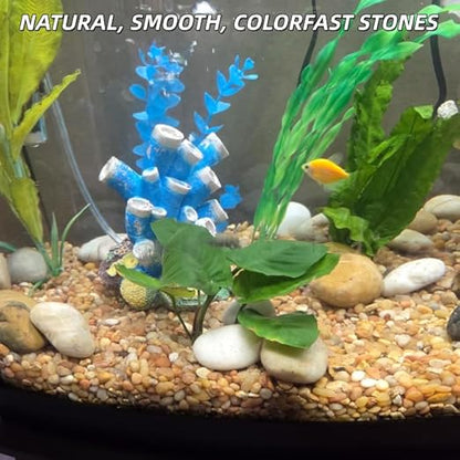 4lb Mix River Rocks for Plants, 1-3 Inch Pebbles for Indoor Plants, Polished Garden Rocks Outdoor Landscaping, Decorative Stones for Vases, Succulents, Aquarium, Walkways