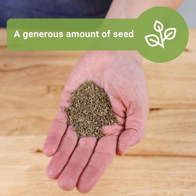 Sow Right Seeds - Bulk Scarlet Nantes Carrot Seed for Planting - 7 Grams, 4000 Seeds - Non-GMO Heirloom Jumbo Pack with Instructions to Plant a Home Vegetable Garden - Enjoy a Bountiful Harvest