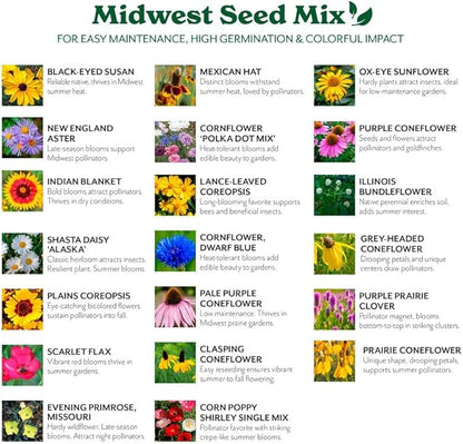 Grow Your Own Vibrant Annual and Perennial Wildflower Garden Seeds Mixture, Varieties for Pollinators and Spring Gardens - Midwest Regional Mix, 25 lbs