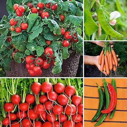 Park Seed Ultimate Container Seed Collection – Non-GMO Compact Vegetable Varieties for Patio Planters & Small Spaces, with Tomato, Pepper, Pea, Radish & Carrot, Total of 515 Seeds