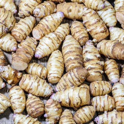 10Pcs Jerualem Artichoke Tubers for Planting Vegetable Garden, Sunroots Sunchokes Tubers for Planting, Fresh Jerusalem Artichoke Roots