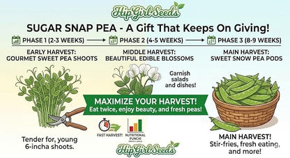 Bean Seeds for Planting Vegetables and Fruits. Pole Beans,Bush Beans,Romano Beans.Non GMO Garden Seeds for Home Vegetable Garden-65ct+ Sugar Snap Pea Seeds,豌豆苗,Edible Pod/Sweet Snap Pea Shoots & Tips