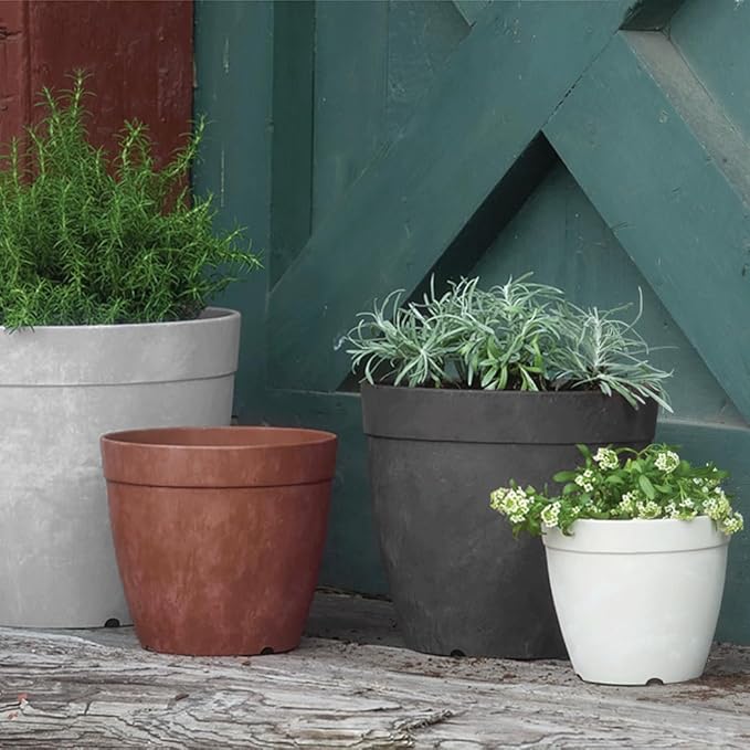 Root & Vessel Dolce Round Planter, White, 10"