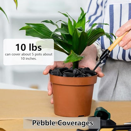YISZM 10lbs Black Pebbles for Plants, 1-2 Inch High Polished Natural River Rocks for Landscaping, Decorative Stones Vase Filler Fish Tank Aquariums Garden Outdoor and Indoor DIY
