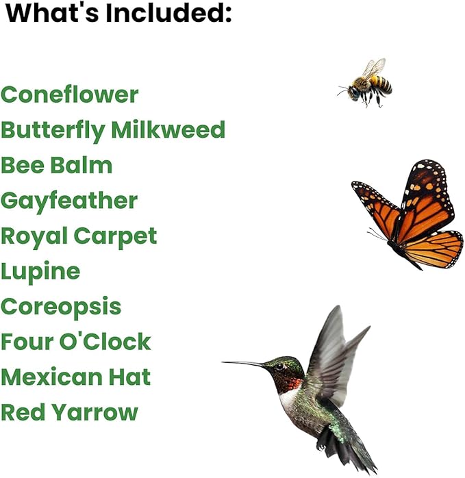 Perennial Wildflower Pollinator Seed Pack - 10 Unique Varieties, 100% Pure, Non-GMO, Eco-Friendly Seeds for Year-Round Blooms