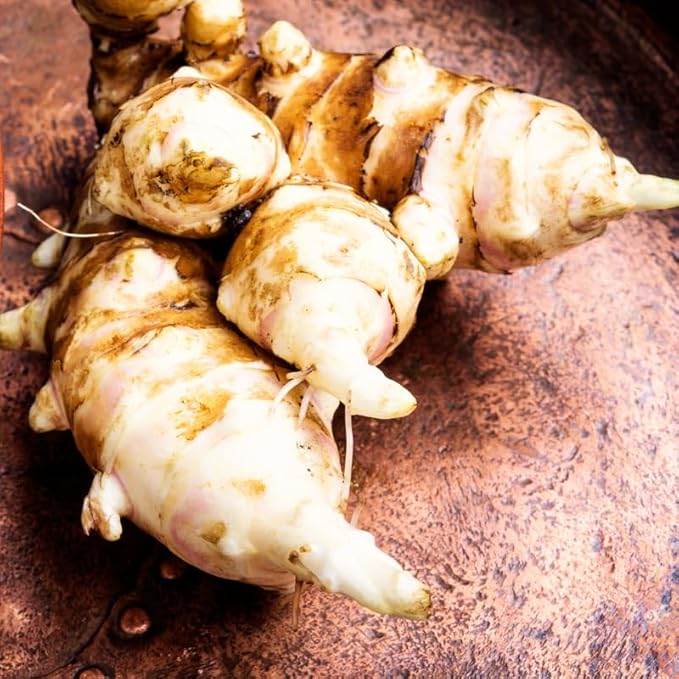 10Pcs Jerualem Artichoke Tubers for Planting Vegetable Garden, Sunroots Sunchokes Tubers for Planting, Fresh Jerusalem Artichoke Roots