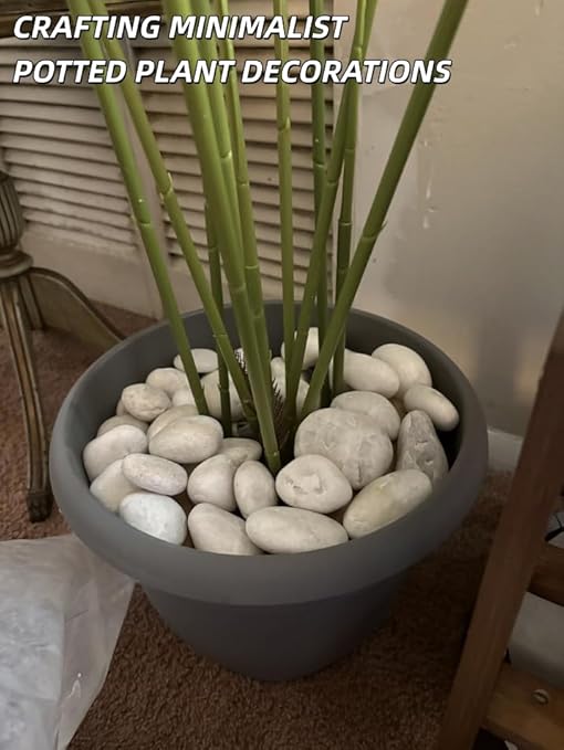 18lb White River Rocks for Plants, 1-3 Inch Pebbles for Indoor Plants, Polished Garden Rocks Outdoor Landscaping, Decorative Stones for Vases, Succulents, Aquarium, Walkways