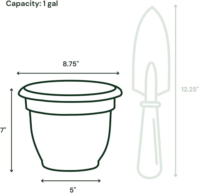 Bloem Ariana 8" Vanilla Bean Round Self-Watering Resin Planter Pot - Rolled Rim Indoor and Outdoor Gardening Planter