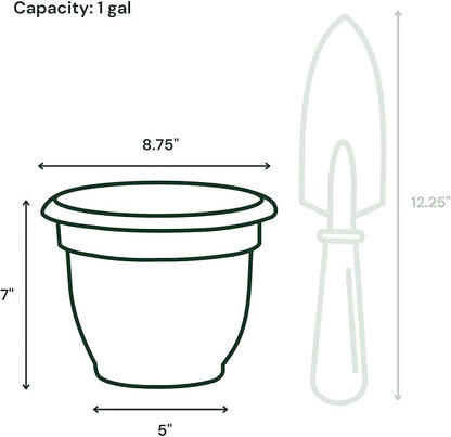 Bloem Ariana 8" Vanilla Bean Round Self-Watering Resin Planter Pot - Rolled Rim Indoor and Outdoor Gardening Planter
