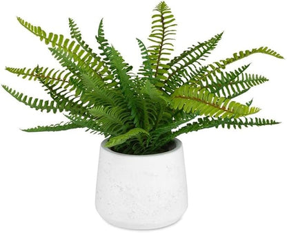 Uttermost 60238 Boston Fern - Ceramic Pot-14 Inches Tall and 14 Inches Wide