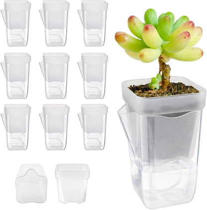 10 Pack 2.5" Self Watering Pots for Indoor Plants, Mini Clear Plastic Planters Water Level Indicator, with Drainage Holes, Cuttings, Seedlings, Herbs, African Violets